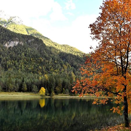 Ferienwohnung Saalbach Fieberbrunn Ngoại thất bức ảnh