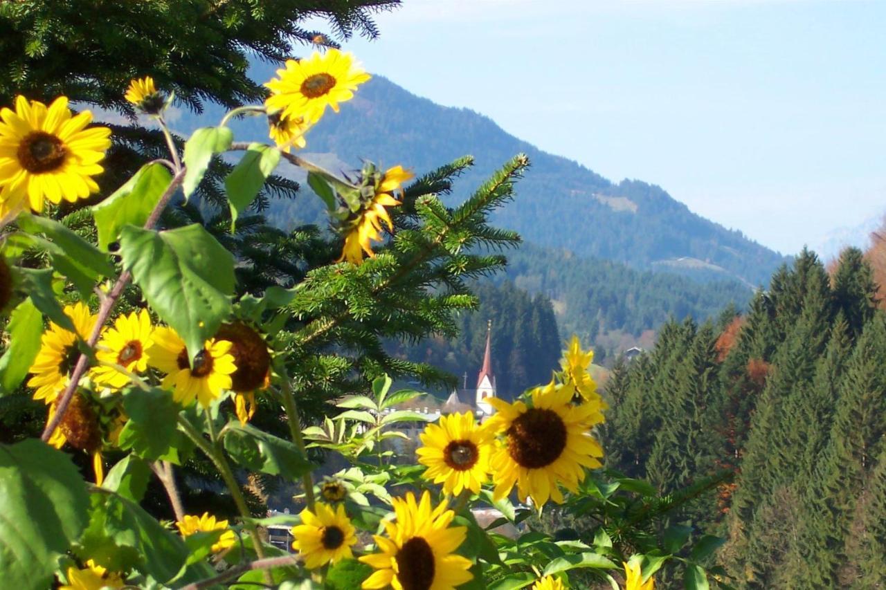 Ferienwohnung Saalbach Fieberbrunn Ngoại thất bức ảnh