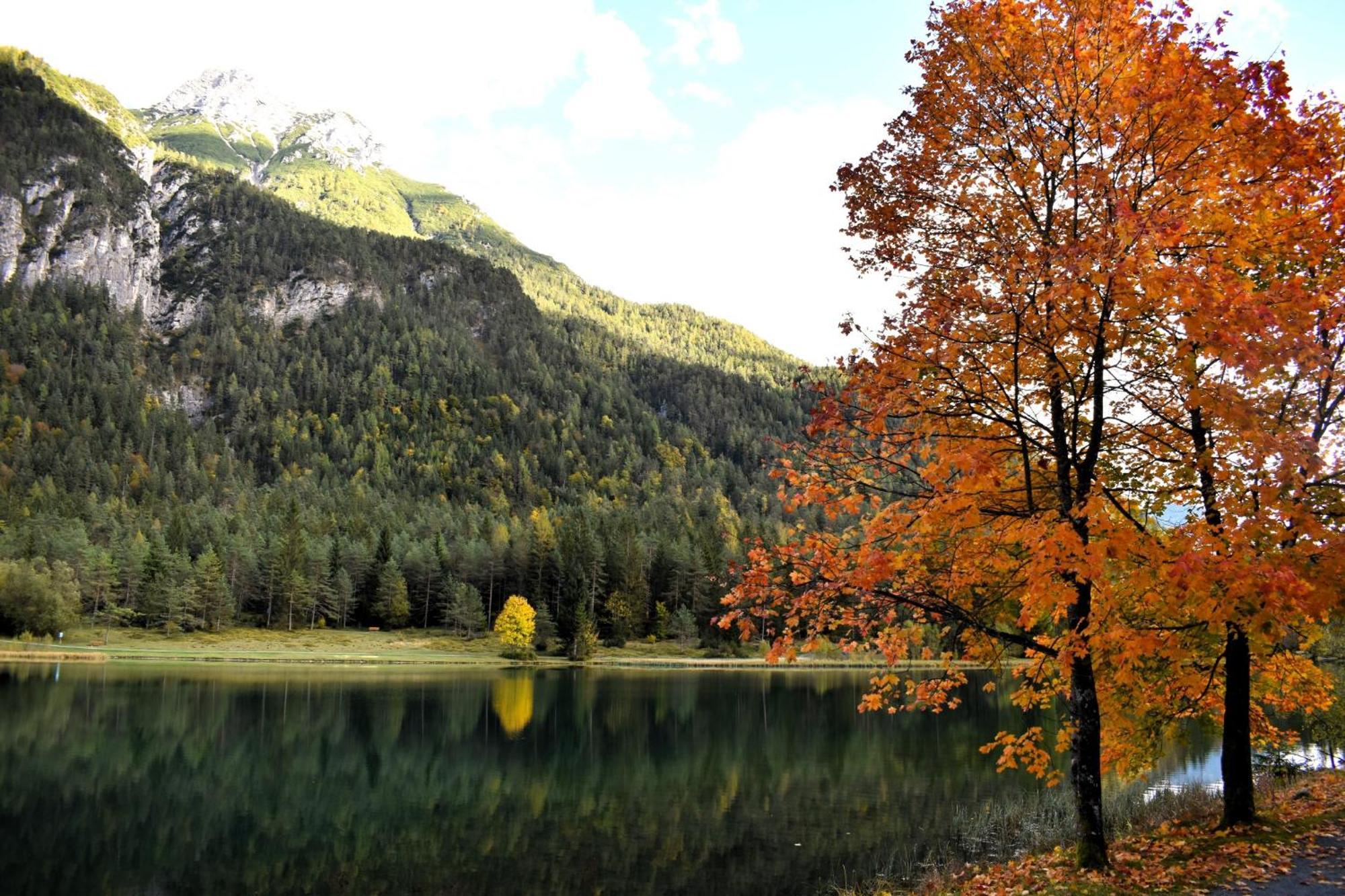 Ferienwohnung Saalbach Fieberbrunn Ngoại thất bức ảnh